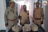 amroha hasanpur illegal liquor arrest