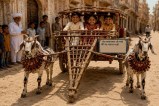 Churu Bakra baggi
