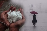 Storm And Rain Alert