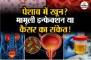 Kidney infection Cancer Urine infection Painless Hematuria Intense Workout Water Intake Capacity