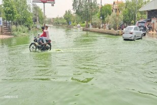 bhiwadi news