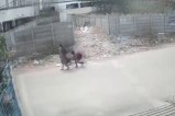 Teen lifts womans dress