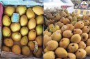 chemically ripened mangoes