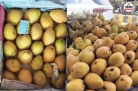 chemically ripened mangoes