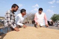 mp cm mohan yadav surprise inspection