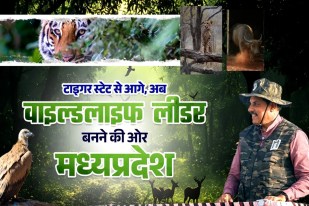 Wildlife Leader