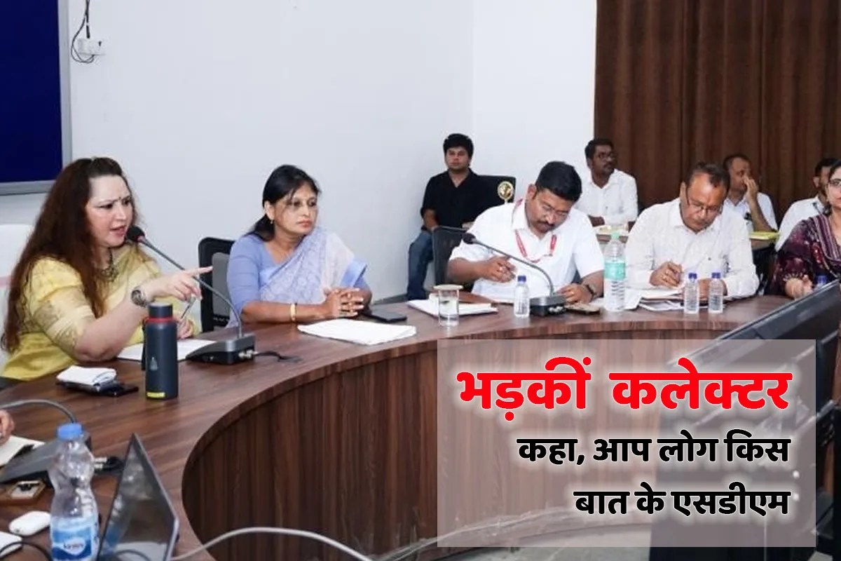 collector maihar