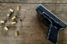 gun license