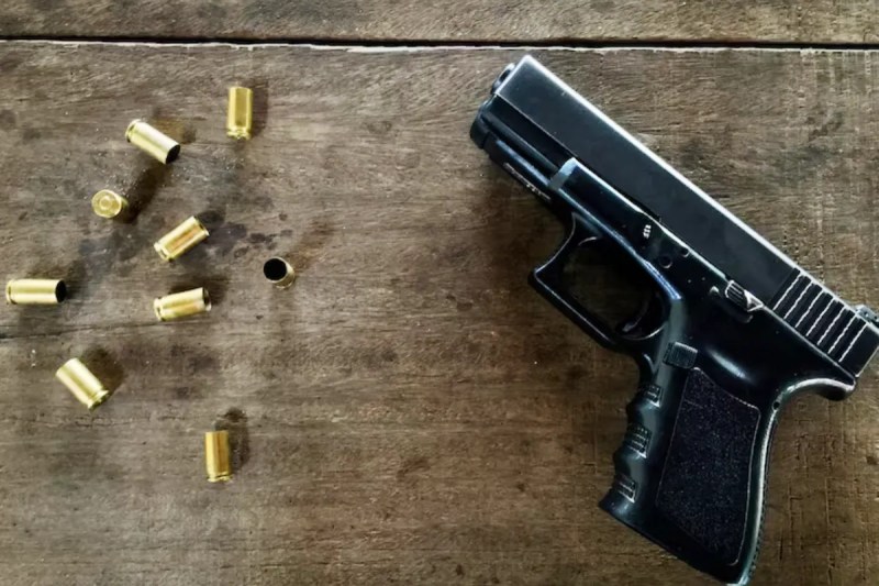 gun license