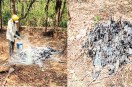 Balod News, Chhattisgarh News