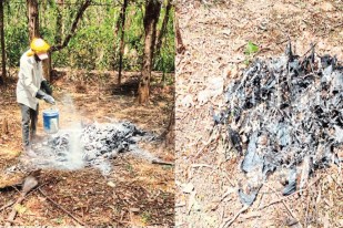 Balod News, Chhattisgarh News