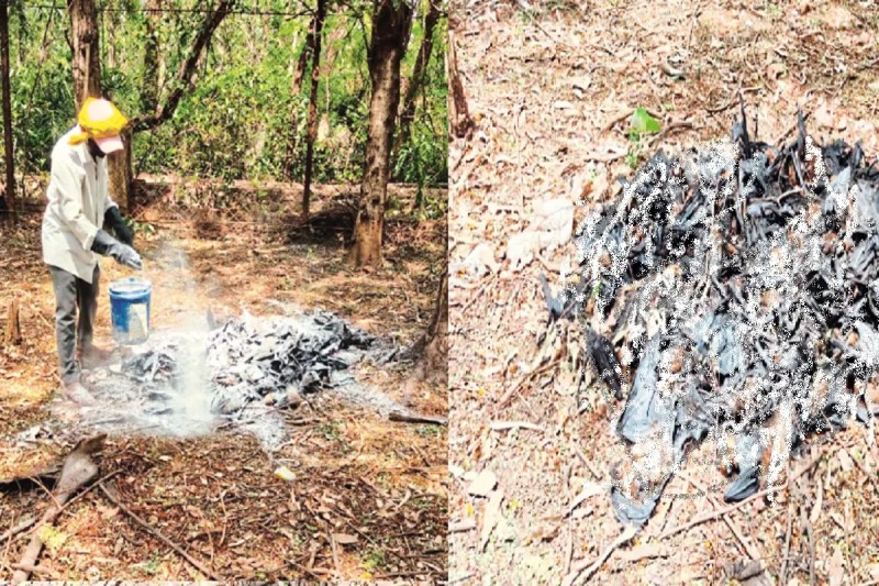Balod News, Chhattisgarh News