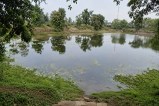 Newborn Found in Pond