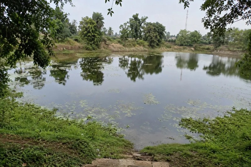Newborn Found in Pond