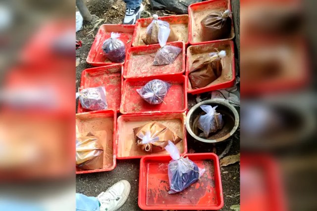 MD Drugs Seized