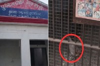 police lockup rooster video viral chicken party in mp news