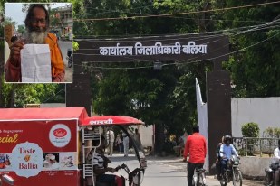 बलिया में बैल की डिमांड