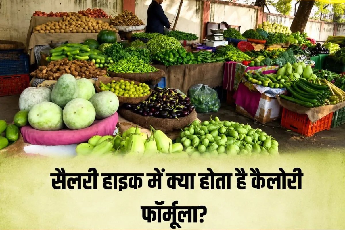 central government salary hike