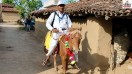 garhwa teacher on horse
