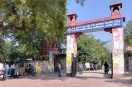 gd College