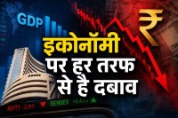 Indian Economy