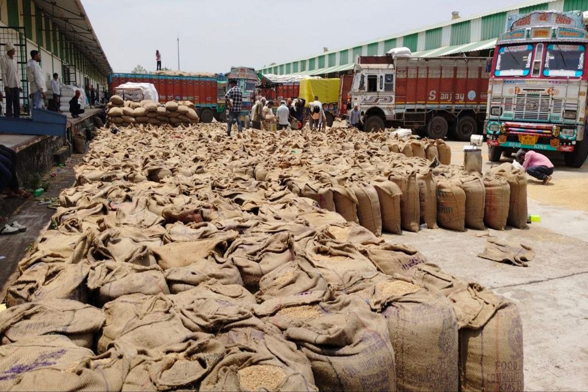 wheat procurment