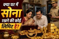 Gold Holding Limit