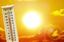 Heat Wave Alert