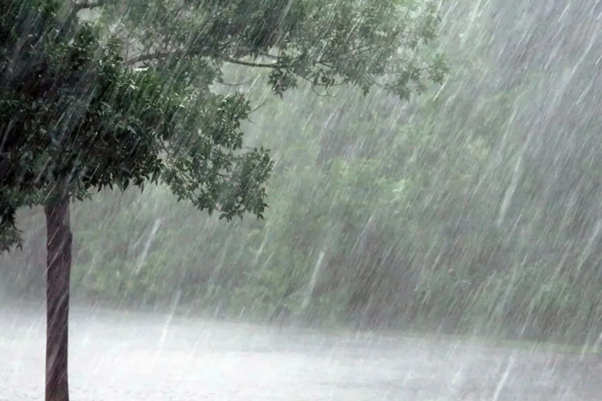 IMD issues Heavy Rain Alert