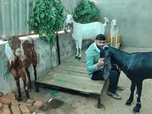 Bakrid 2026
