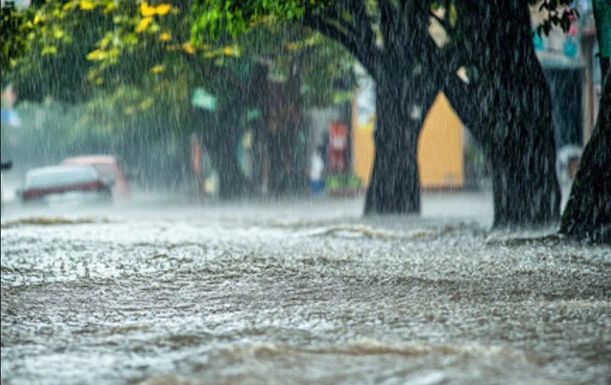 IMD issues Heavy Rain Alert