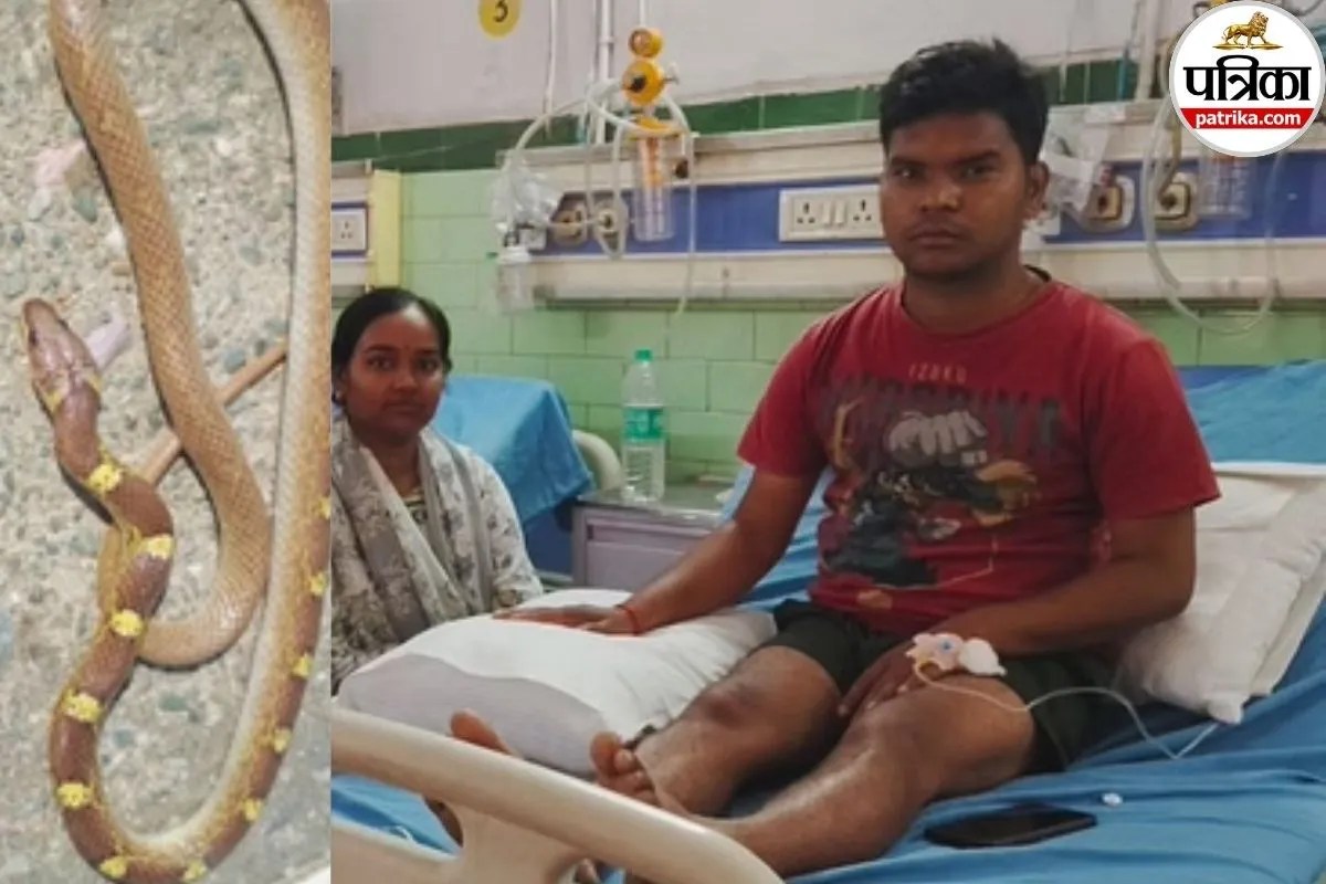 Young man admitted to district hospital after snake bite, snake seen in separate frame.