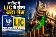 LIC Investment