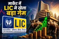 LIC Investment
