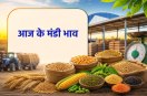 MP Mandi Bhav today