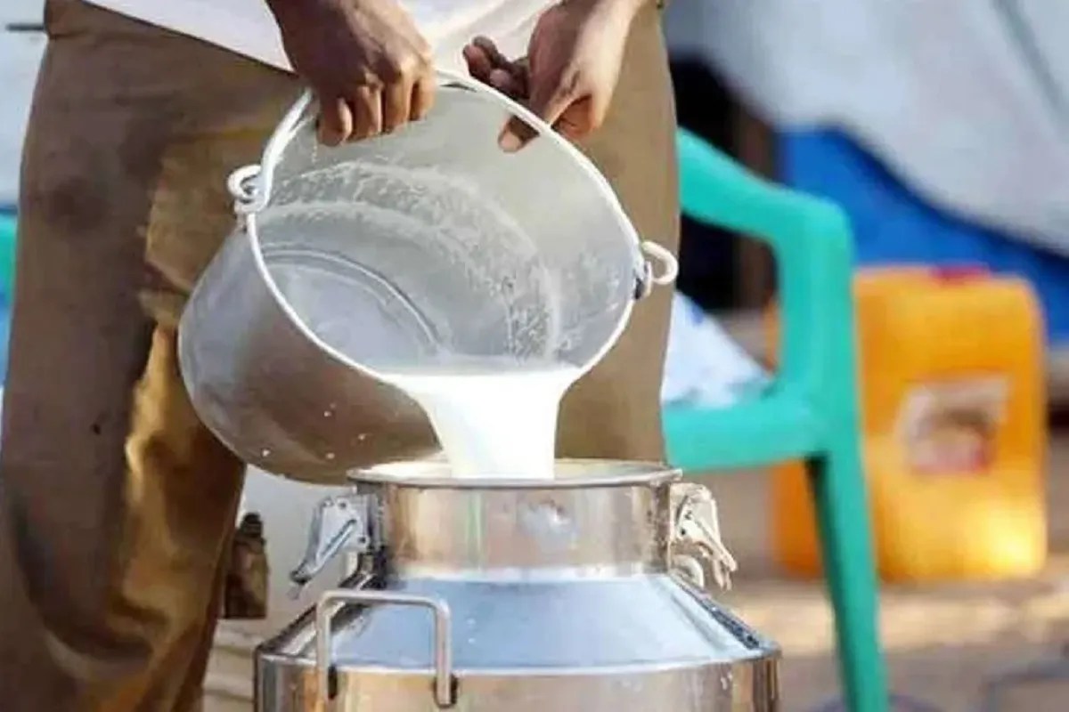 Synthetic Milk