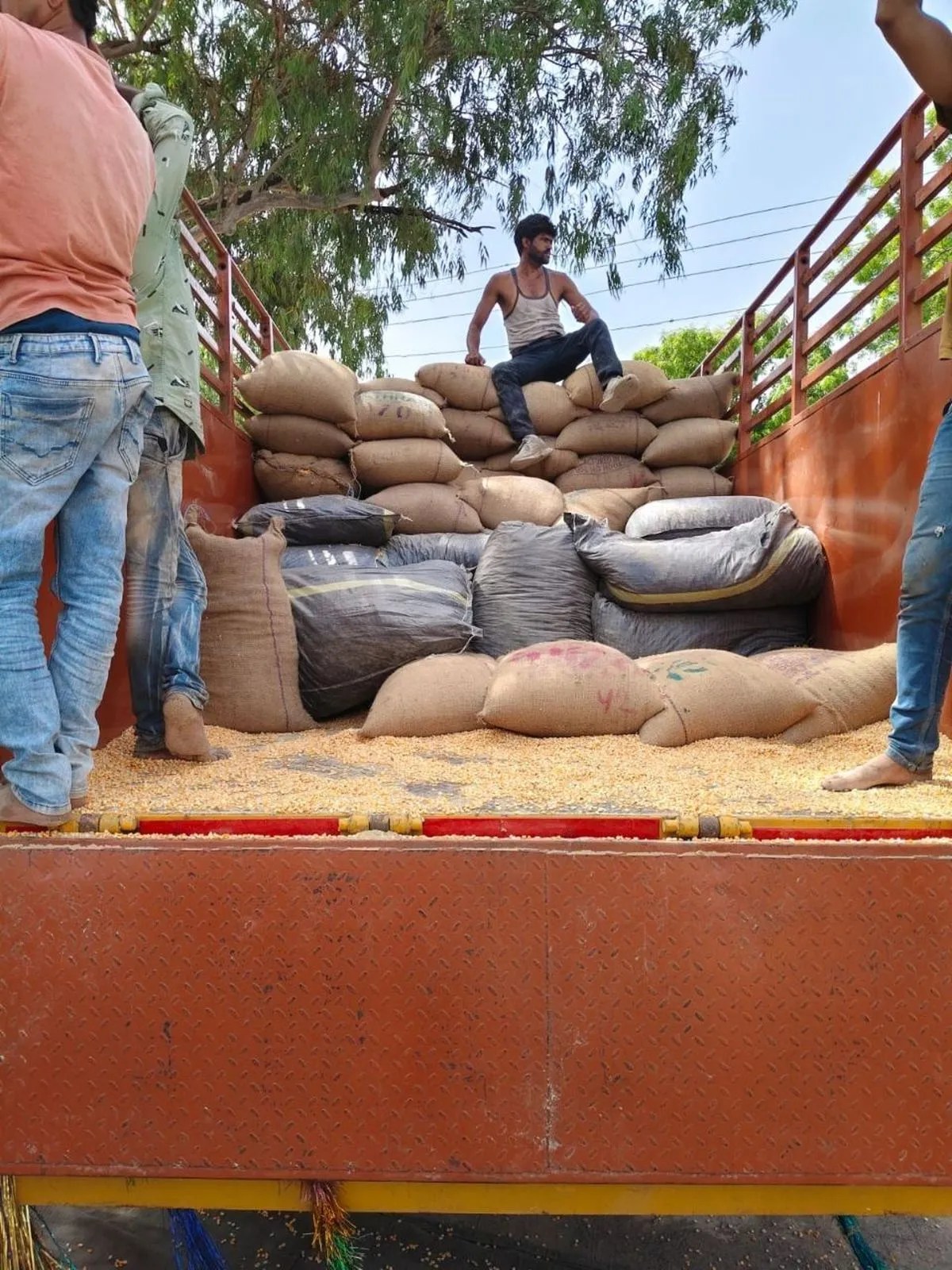 mandsaur crime news