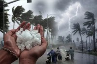 MP Weather
