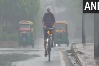 Pre-Monsoon Rain North India