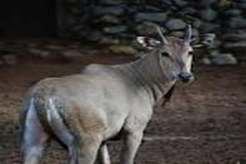अलवर. देश-प्रदेश में अपनी सांस्कृतिक प्रस्तुति देने वाले राजस्थान के हजारों कलाकारों, रंगकर्मियों, सांस्कृतिककर्मियों व संवेदनशील लोगों की तरफ से प्रदेश के सीएम भजनलाल शर्मा को एक भावपूर्ण चिट्ठी भेजी गई है।