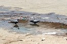 intense heat heat wave news