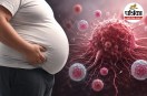 obesity symptoms in hindi,Obesity and cancer risk