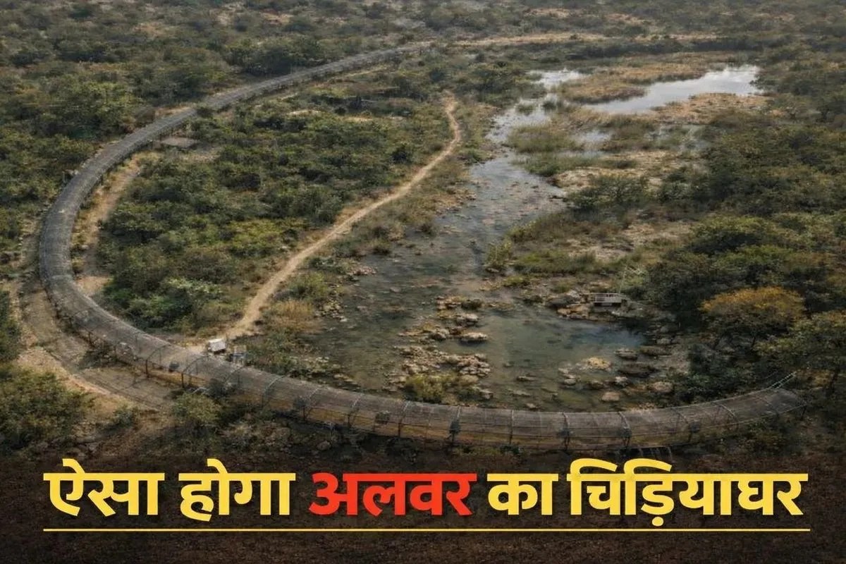 alwar katighati zoo and lion safari