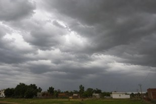 Nautapa