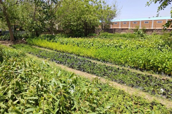 nursary