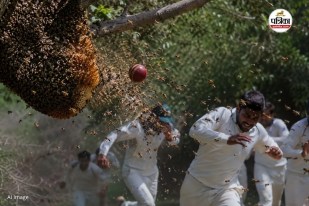 Sriganganagar Indira Vatika Honeybee Attack Parks Cricket Ban Demand Update