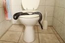 15 Baby Cobras found in BJP leader bathroom pipeline mp news