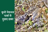 sheopur