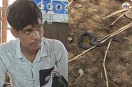 sri Ganganagar Snake