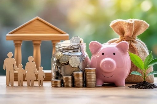 Small savings schemes